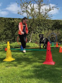 meisje doet een parcours met een hond