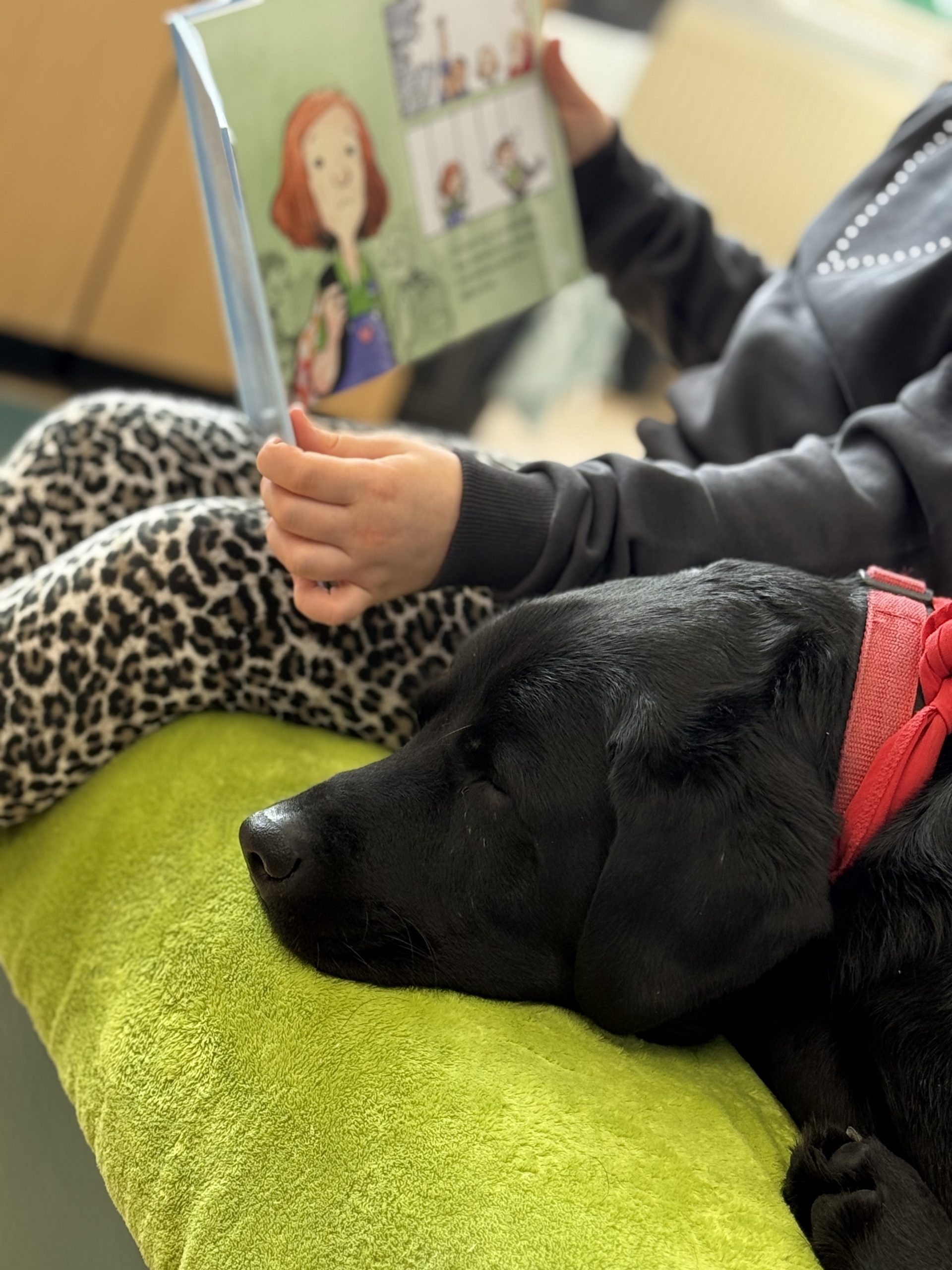 kind-leest-met-schoolhond